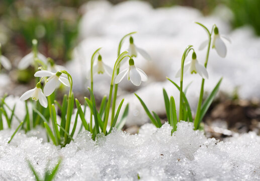 Снег, град и туман пообещали казахстанцам синоптики