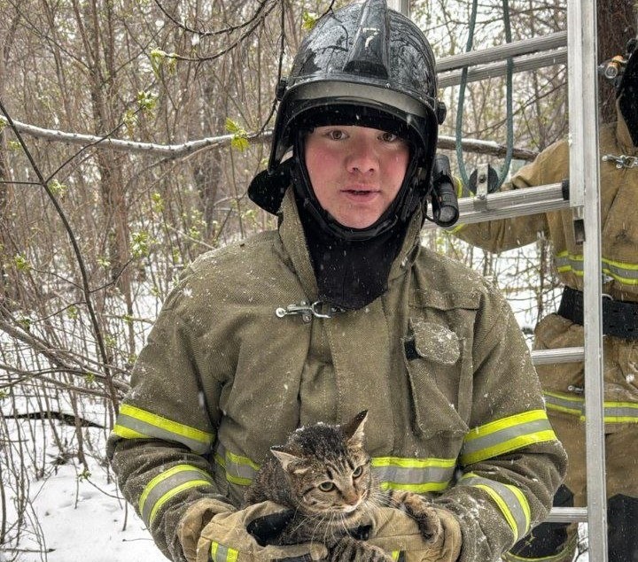 Спасатели помогли кошке и растрогали казахстанцев