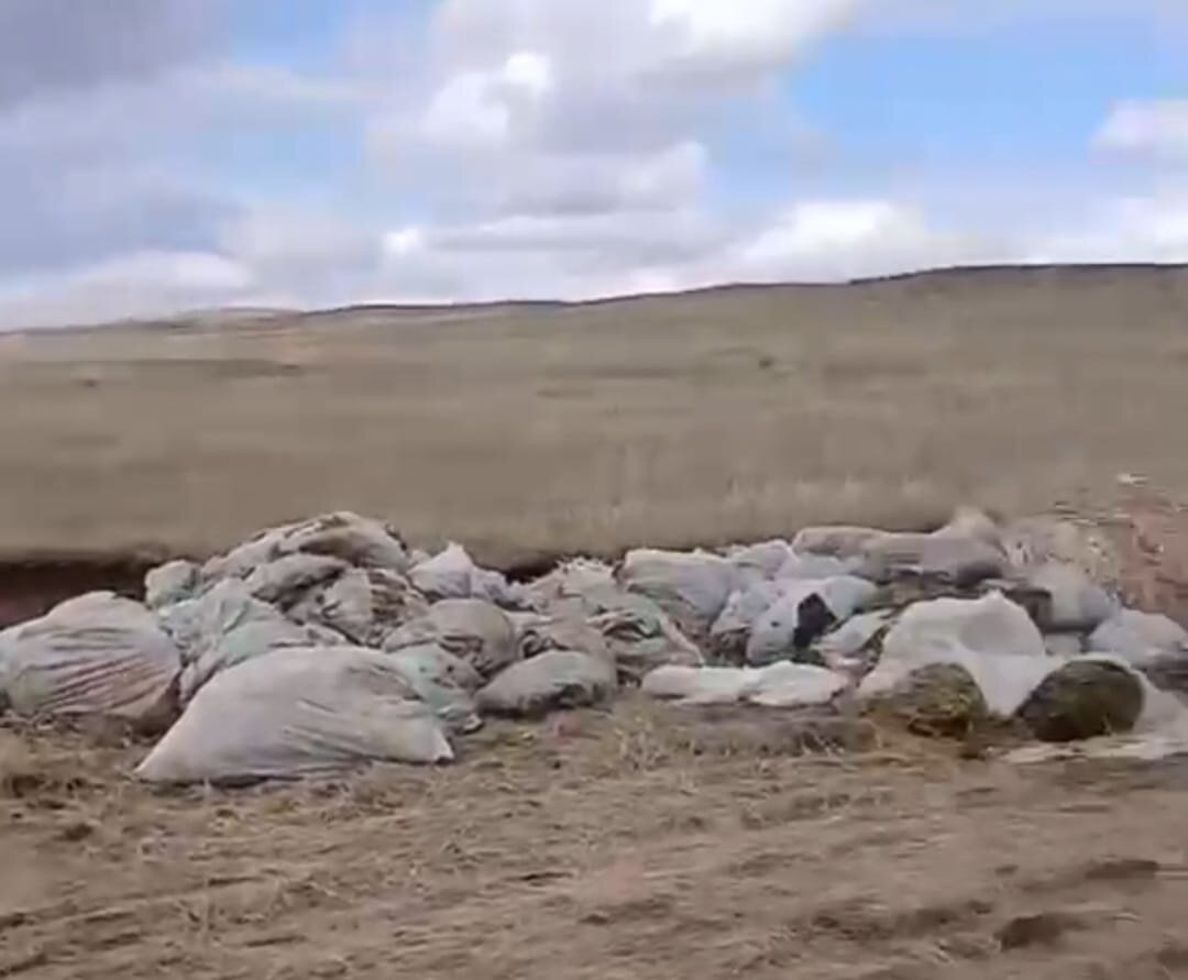 Экоактивист помог найти водителя, который тоннами вывозил мусор в степь