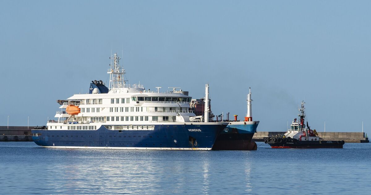 Вспышка хантавируса на лайнере MV Hondius: что известно и есть ли угроза для мира